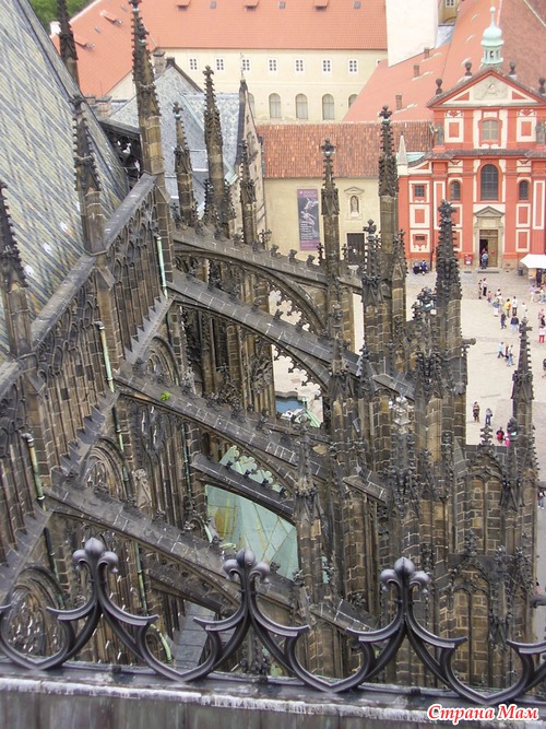 ����� ����� �������