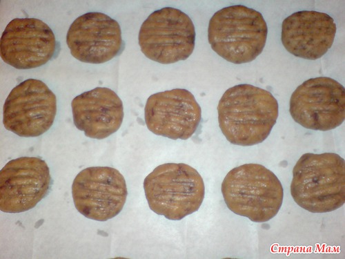 ��������� ����-������ �������.