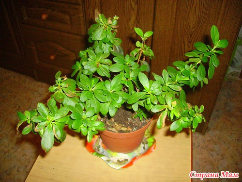 ��������!