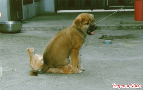 ������� ����,������,���������� ! ������,������,������ � ����� :)