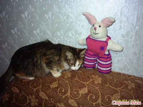 ���������� ���� ��������