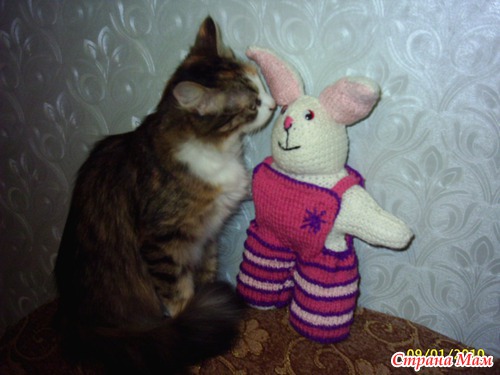 ���������� ���� ��������