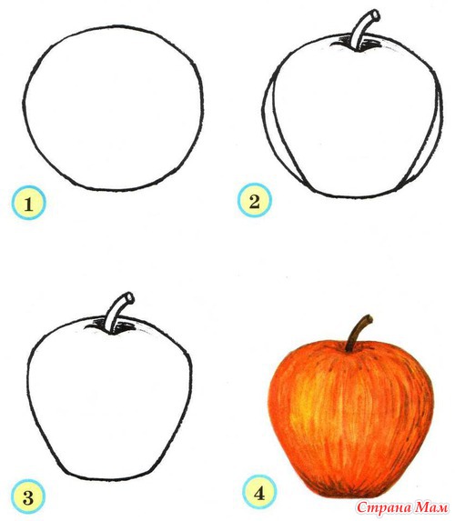 Рисунок яблока для срисовки