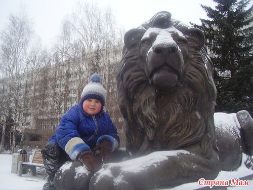 ������ �������