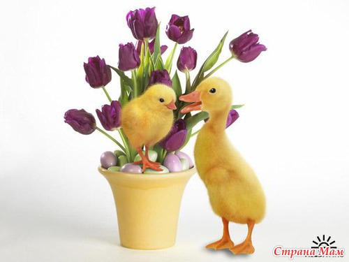 ����� ��������.