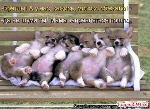 ����� ��������.