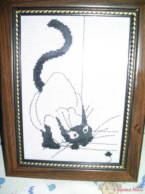 ��� ����� � �������