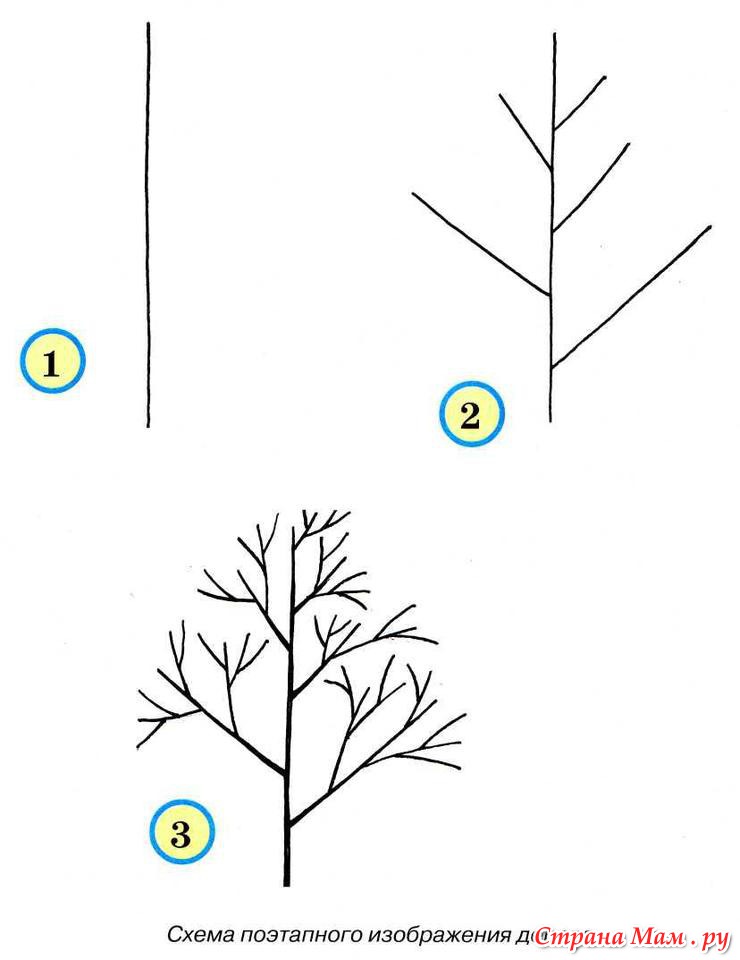 Схемы рисования для детей 4 5 лет поэтапно