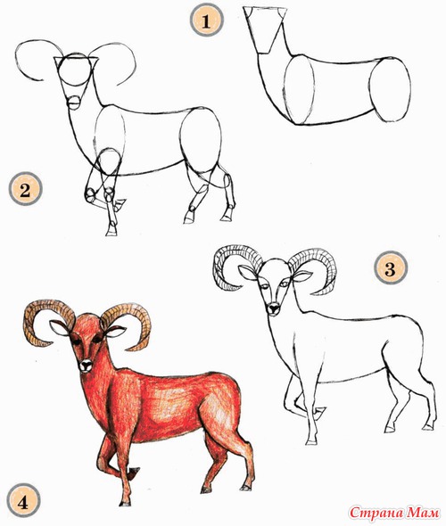 ������ ����. ��������� ����� ���������.