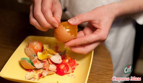 ������� "���������� ����"