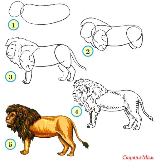 ���. ��������� ����� ���������.