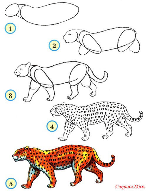 �������. ��������� ����� ���������.