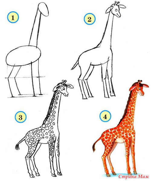 �����. ��������� ����� ���������. +