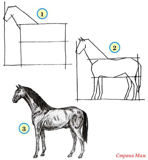 ������ 1, 2, 3. ��������� ����� ���������.