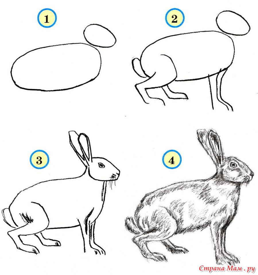 Схема заяц 1 класс