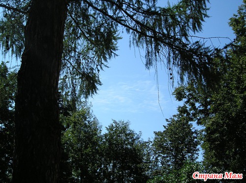 � ����� � �������