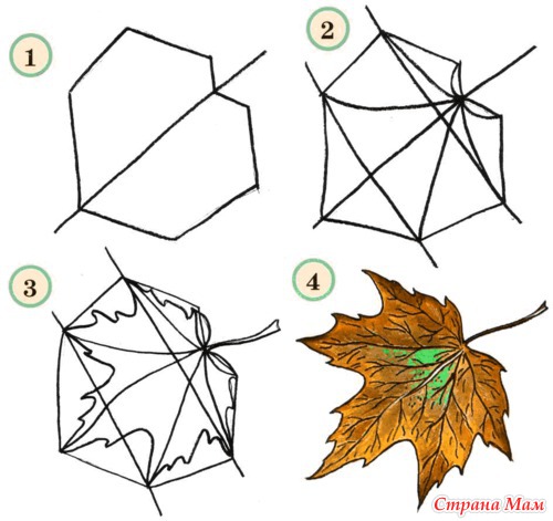 Кленовый лист схема