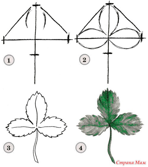 ����������� ����. ��������� ����� ���������.