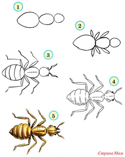 �������. ��������� ����� ���������.