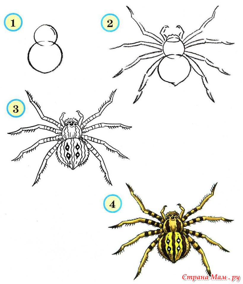 Чертеж поделки «Паук».