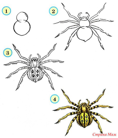 ����. ��������� ����� ���������.