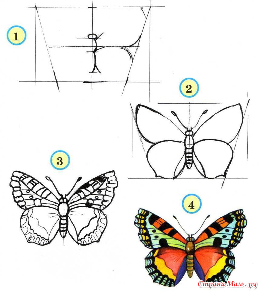 Бабочка. Мотылёк. Подробная схема рисования.1,2 - Маленький художник -  Страна Мам