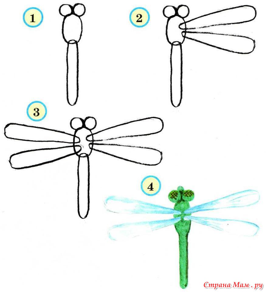 Схема рисования стрекозы
