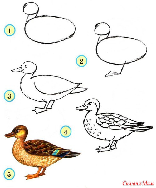 ���� 1, 2. ��������� ����� ���������.