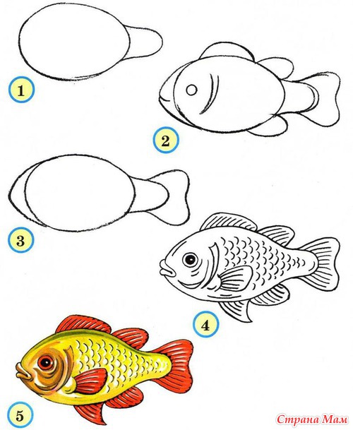 Напишите для чертежника программу рисования следующей картинки рыбка