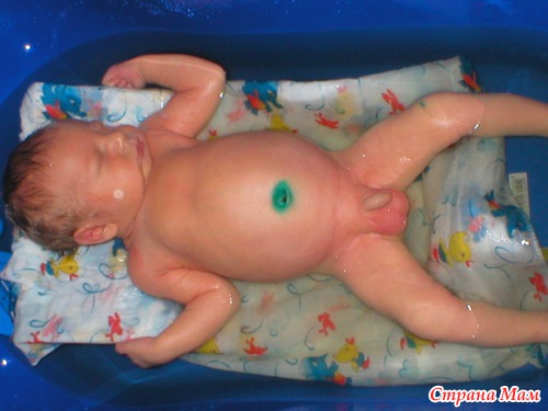 ��� ��� ����...������.