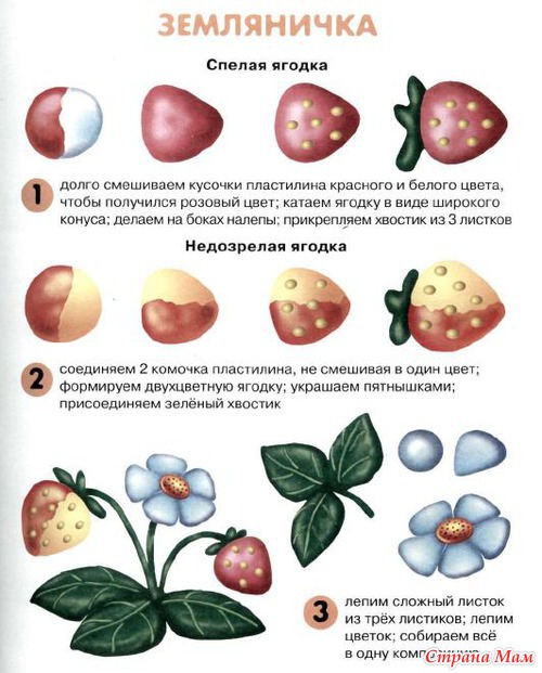 ���������.