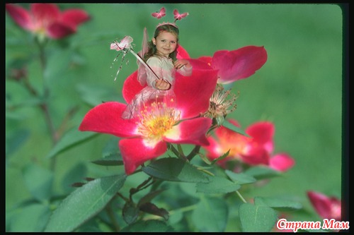 ��� ��������� :) ������� )) ��� ������ ������ ,� ������������ ���� :(