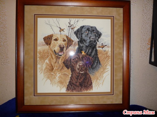 ������� �� ������� �� �������� ���������� :�)))