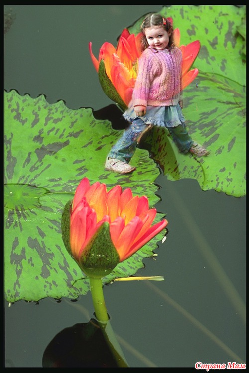 ��� ��������� :) ������� )) ��� ������ ������ ,� ������������ ���� :(