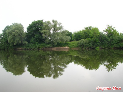 ��� ����