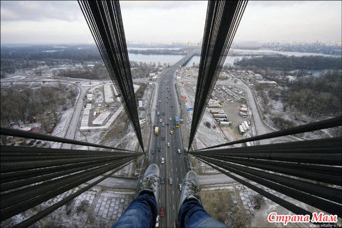 ���������� ����. 115 �.