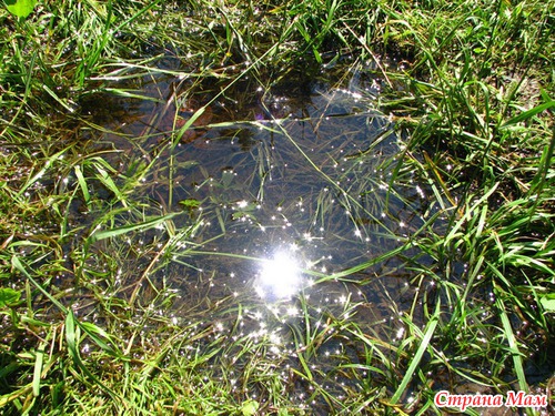 ��� ����