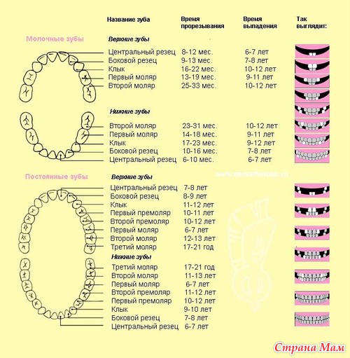 � �������� ����, ����� ����...