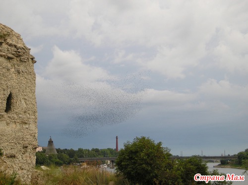 ������! � � ����.