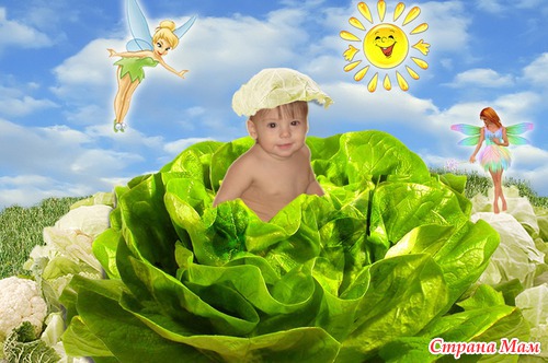 ������ ������ � ��������