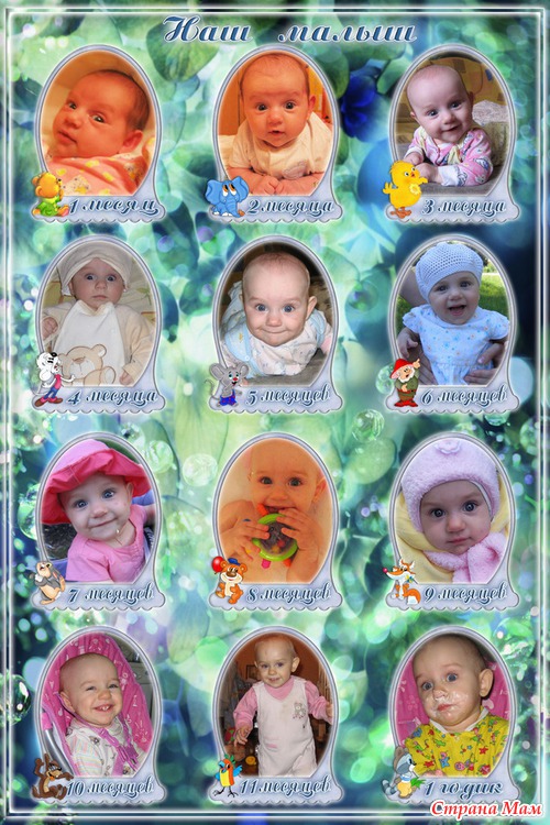 ��� ������ ������