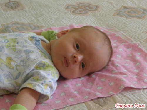 ��������� �������� ������ ������� �� �������