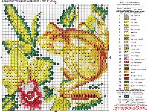 ����� �������