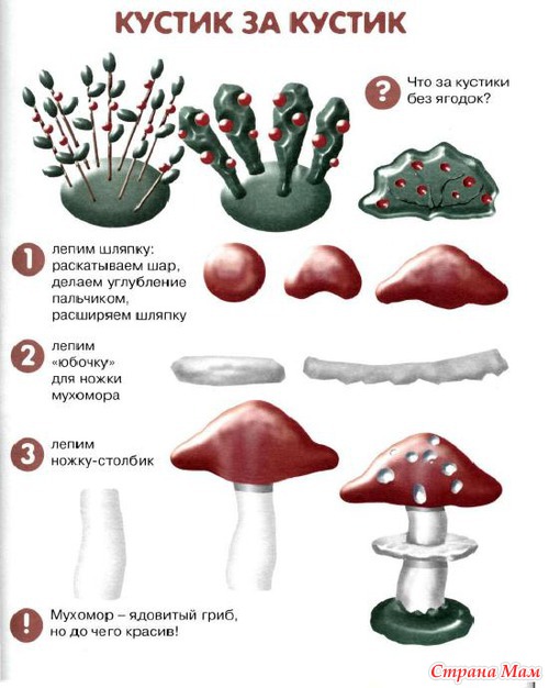 ������ � �������