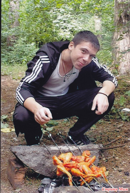 17  ,  ,   