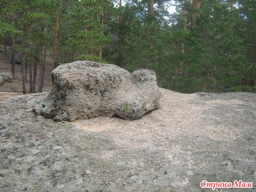 Отдых в Щучье Боровом