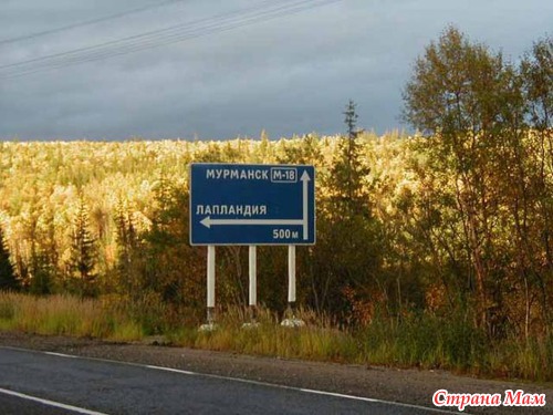 Забавные названия