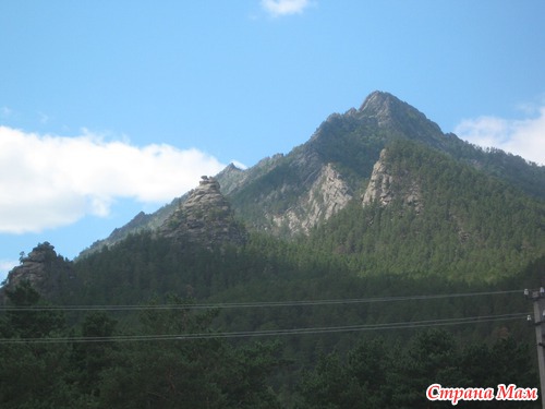 Отдых в Щучье Боровом