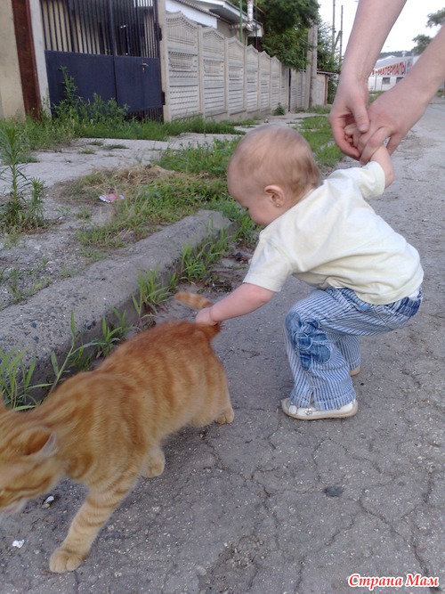 Познаем мир)