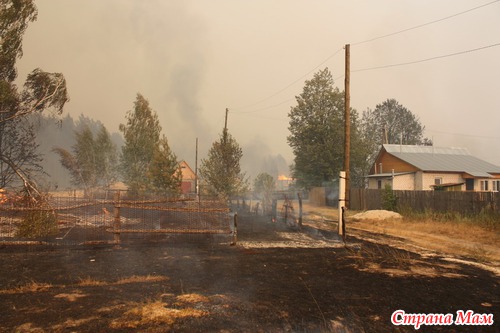 Пожары в Рязанской области (фоторепортаж).
